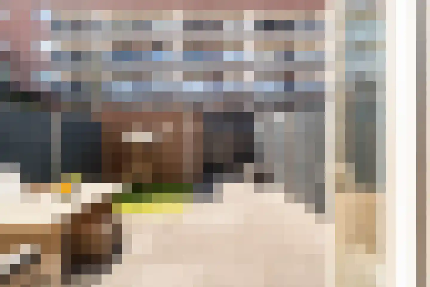Norgstraat 77 Den Haag thumbnail 16