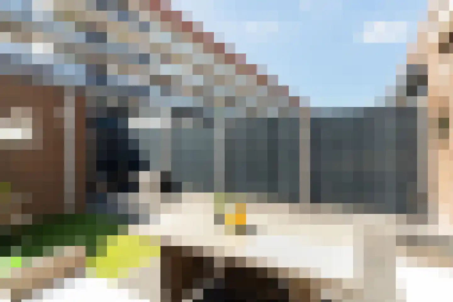 Norgstraat 77 Den Haag thumbnail 20