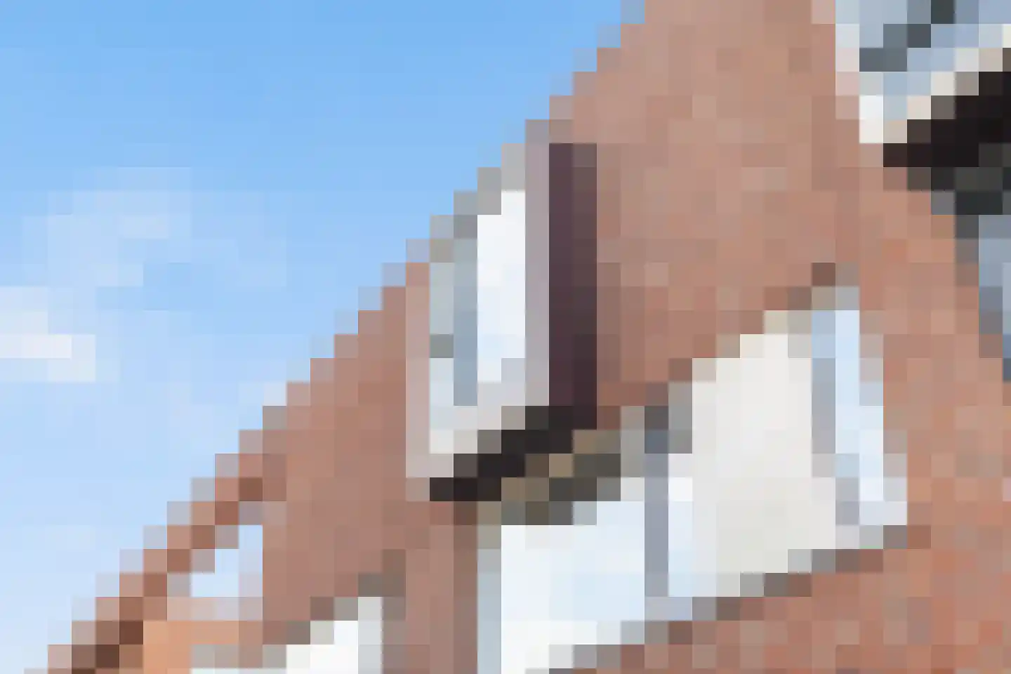Norgstraat 77 Den Haag thumbnail 7