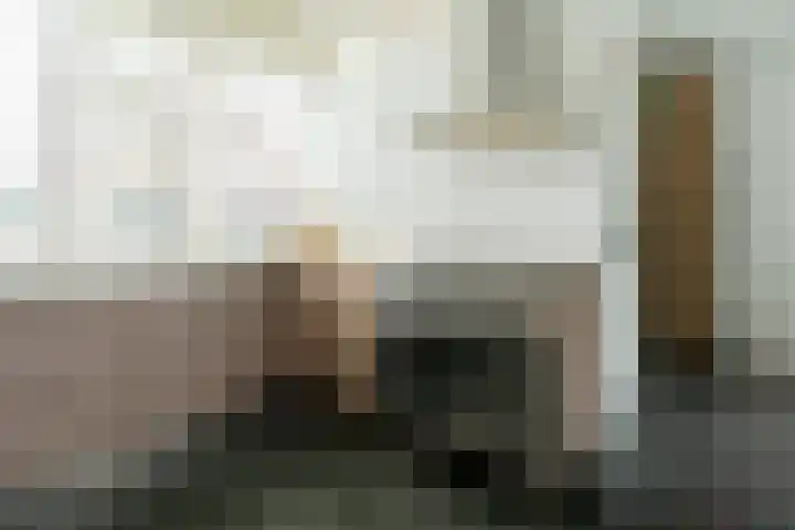 Norholm 114 Hoofddorp thumbnail 15