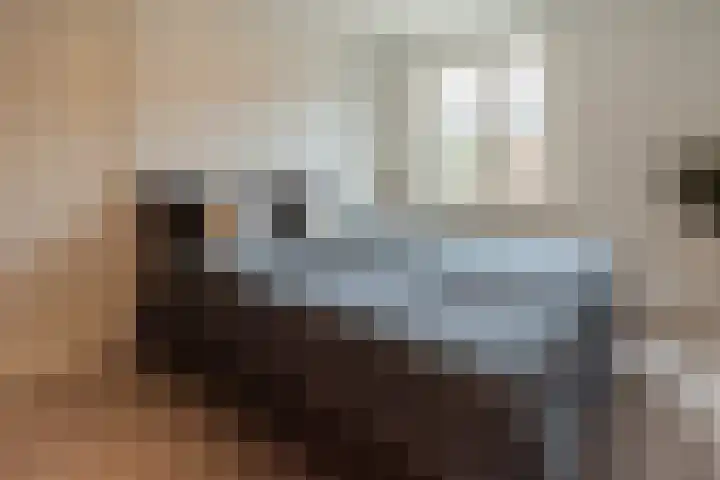 Norholm 114 Hoofddorp thumbnail 17
