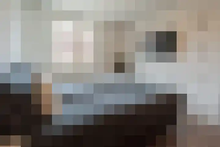 Norholm 114 Hoofddorp thumbnail 19