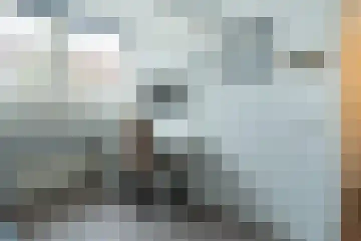 Norholm 114 Hoofddorp thumbnail 24