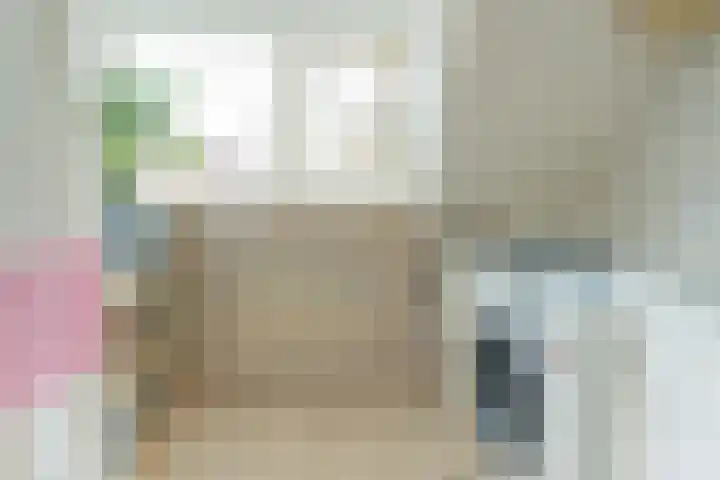 Norholm 114 Hoofddorp thumbnail 26