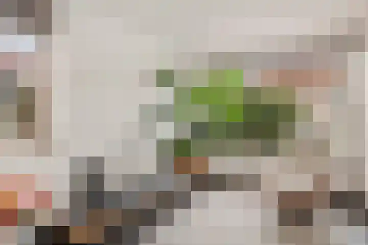 Norholm 5 Hoofddorp thumbnail 10