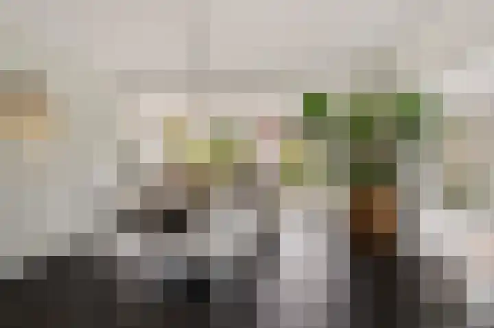 Norholm 5 Hoofddorp thumbnail 11