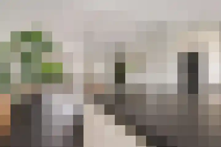 Norholm 5 Hoofddorp thumbnail 16