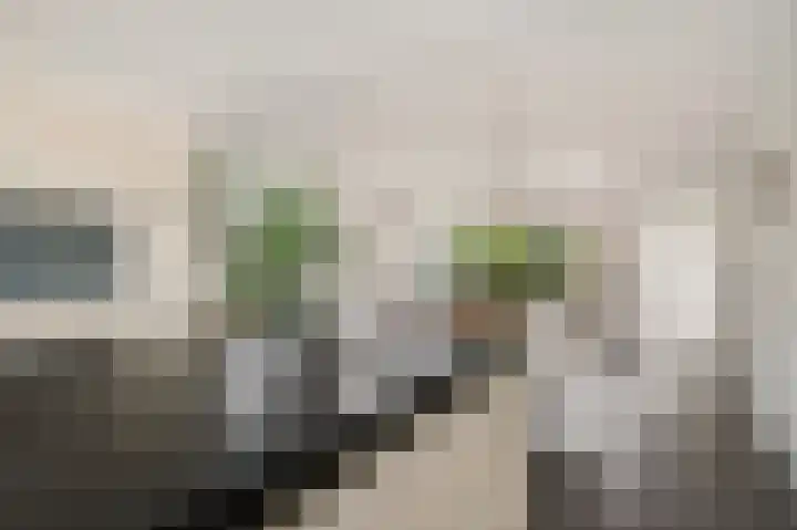Norholm 5 Hoofddorp thumbnail 17