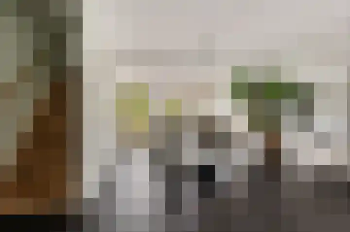 Norholm 5 Hoofddorp thumbnail 19