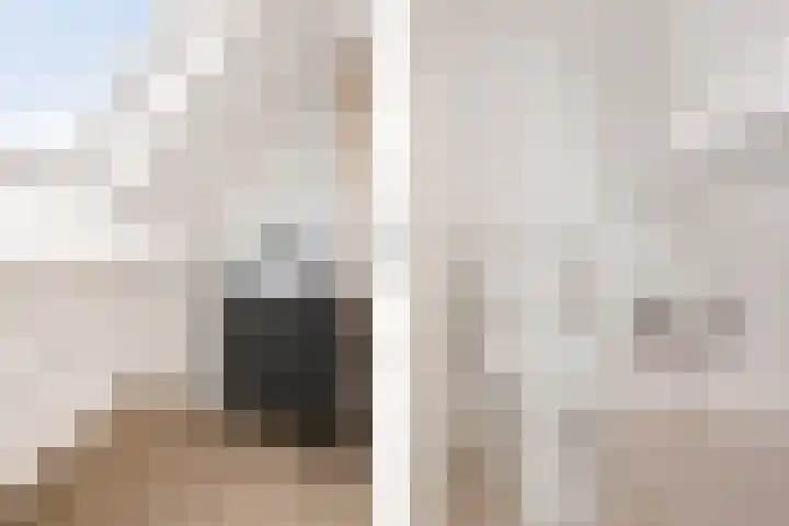 Norholm 5 Hoofddorp thumbnail 34