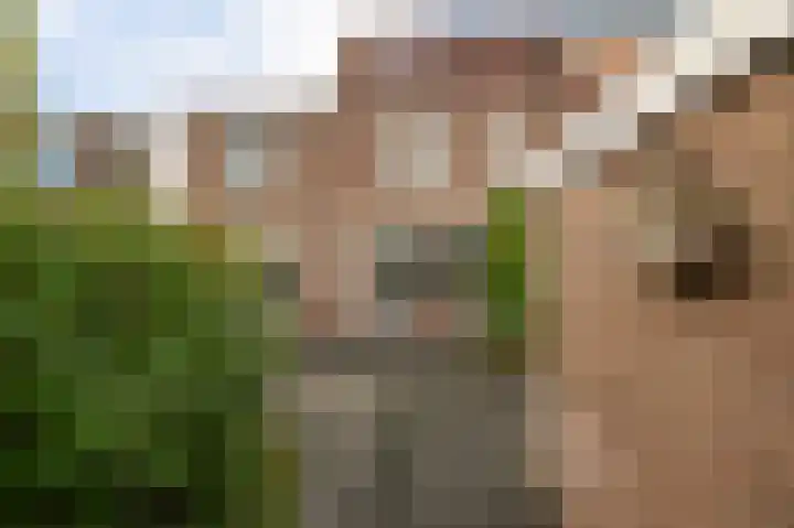 Norholm 5 Hoofddorp thumbnail 35