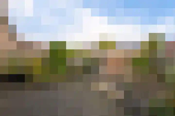 Norholm 5 Hoofddorp thumbnail 36