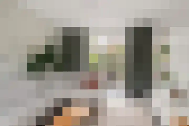 Norholm 5 Hoofddorp thumbnail 8