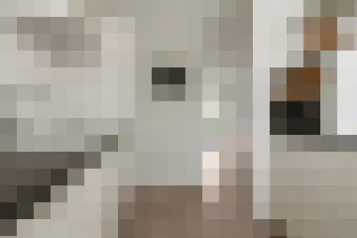 Norholm 51 Hoofddorp thumbnail 11
