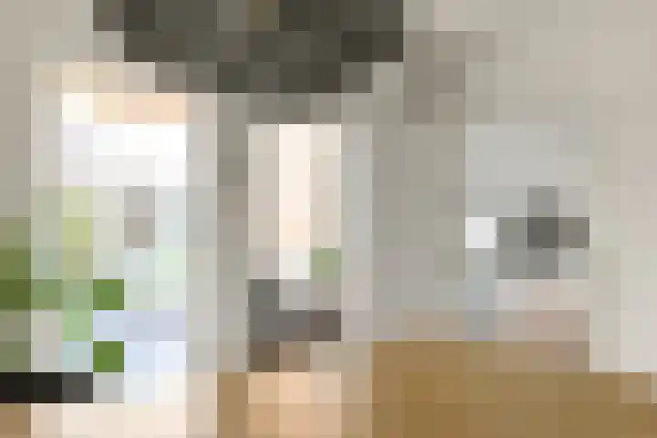 Norholm 51 Hoofddorp thumbnail 13