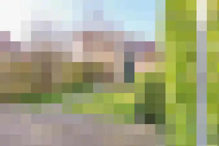 Norholm 51 Hoofddorp thumbnail 23