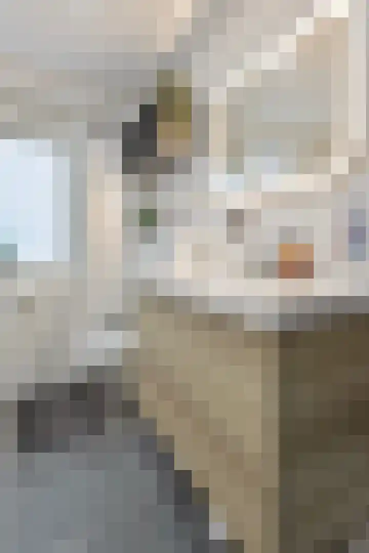 Normahof 6 Hoogvliet Rotterdam thumbnail 19