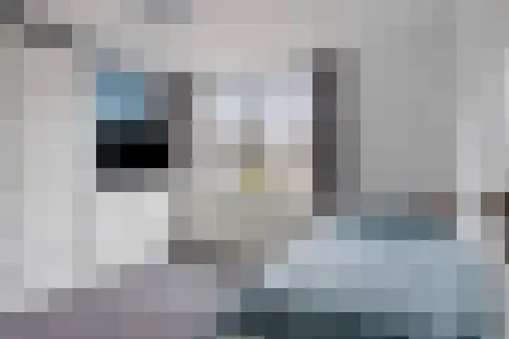 Normahof 6 Hoogvliet Rotterdam thumbnail 21