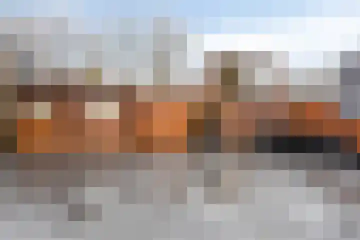 Normahof 6 Hoogvliet Rotterdam thumbnail 23
