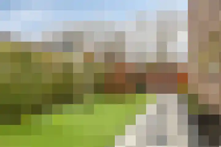 Normahof 6 Hoogvliet Rotterdam thumbnail 29