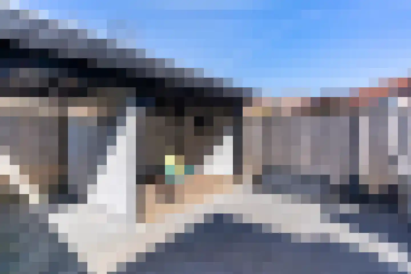 Normalaan 11 Nieuwegein thumbnail 17