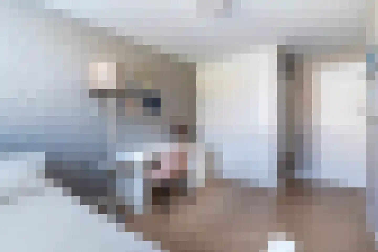 Normalaan 11 Nieuwegein thumbnail 20