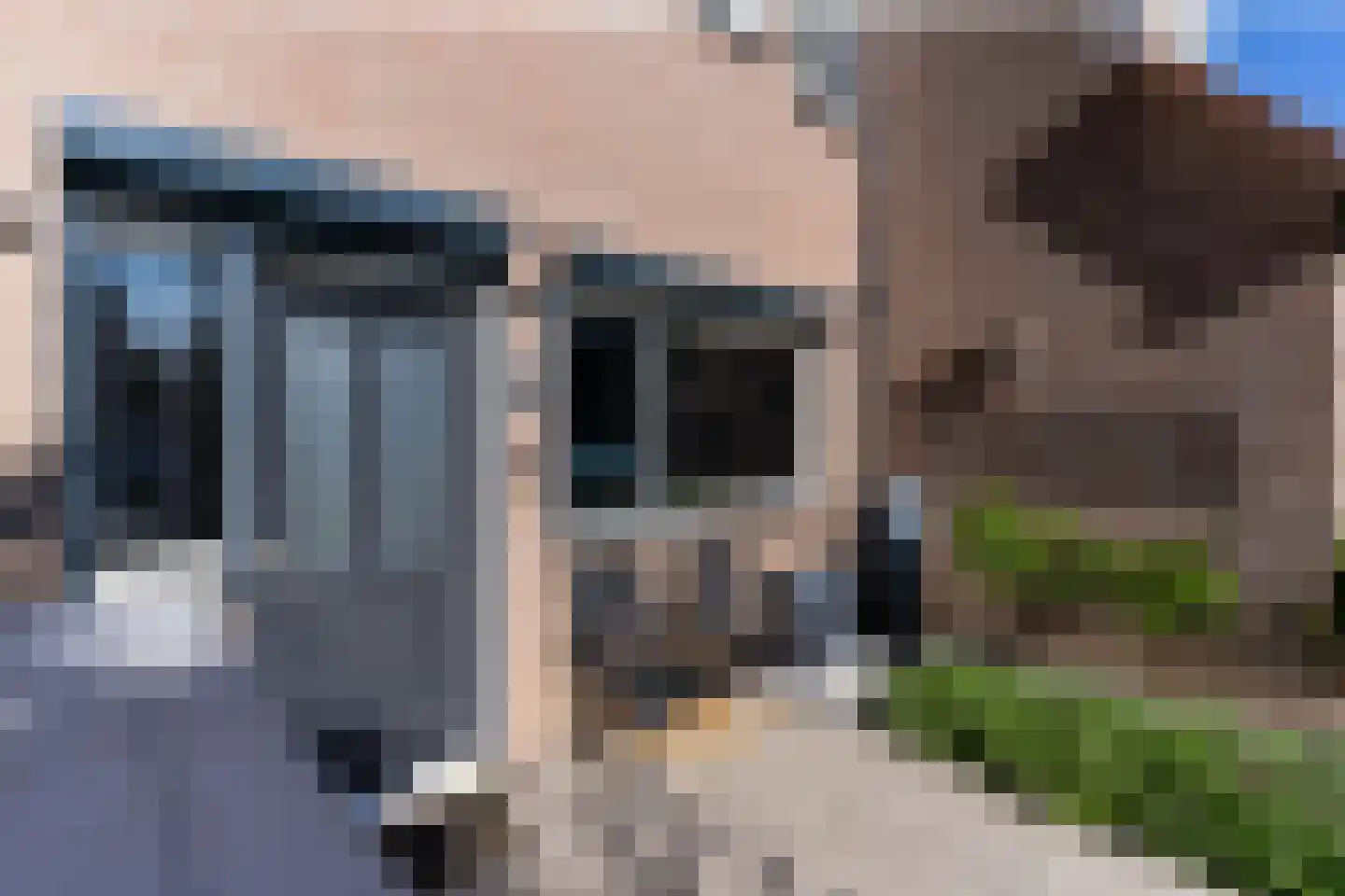 Normalaan 11 Nieuwegein thumbnail 36