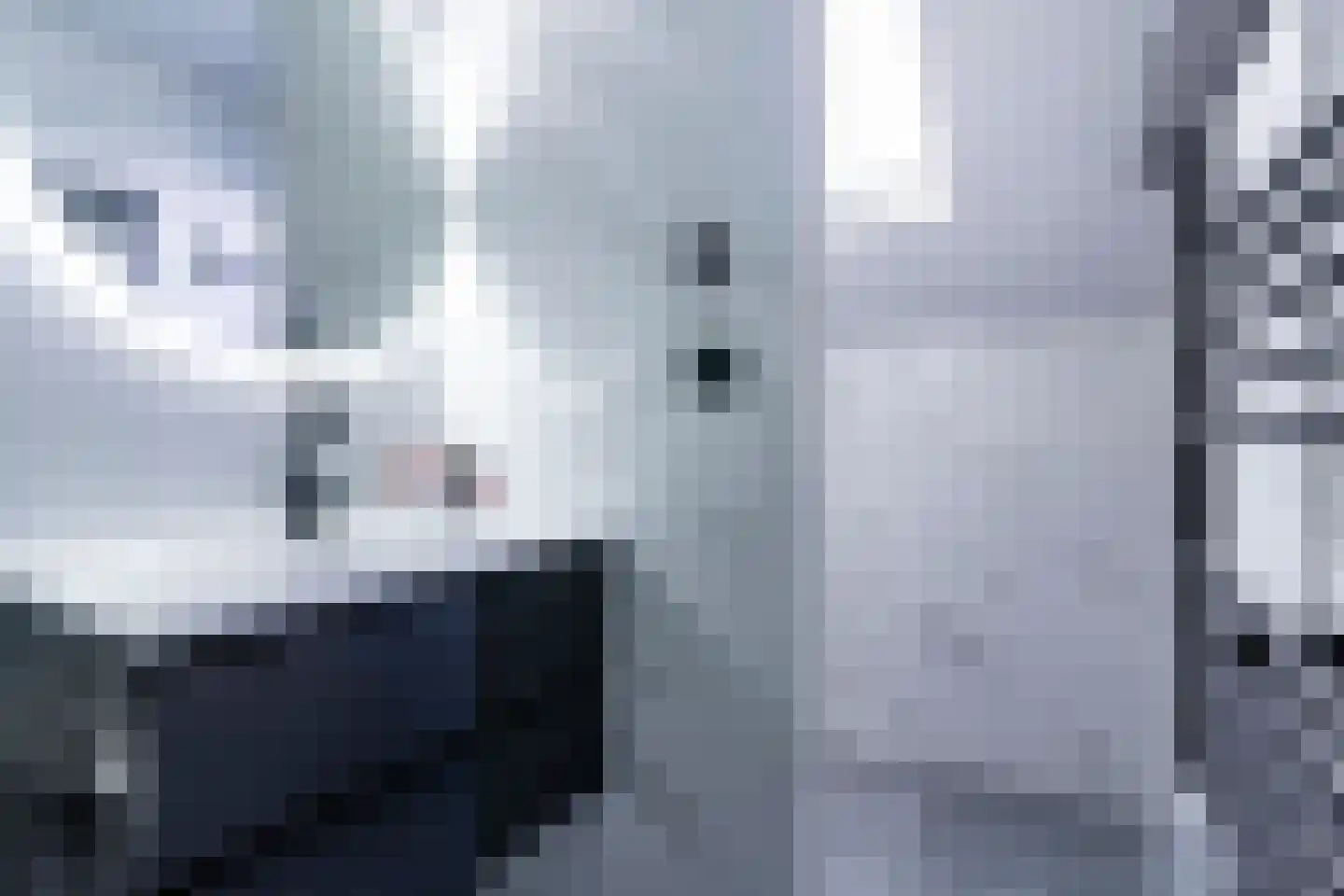 Normalaan 34 Nieuwegein thumbnail 21