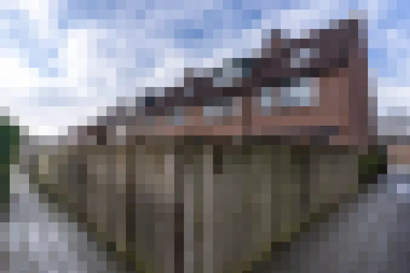 Normalaan 34 Nieuwegein thumbnail 34