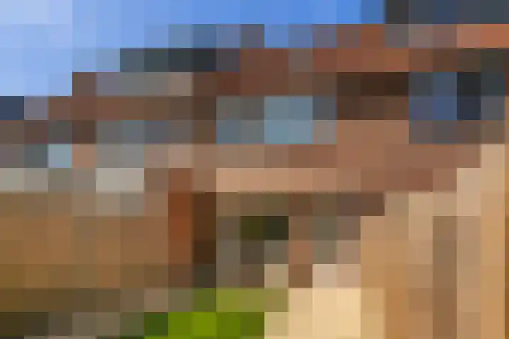 Normalaan 52 Nieuwegein thumbnail 13