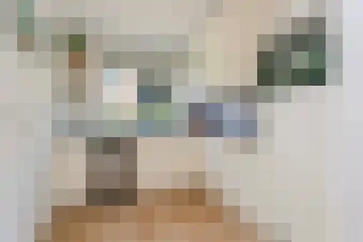 Normalaan 52 Nieuwegein thumbnail 8