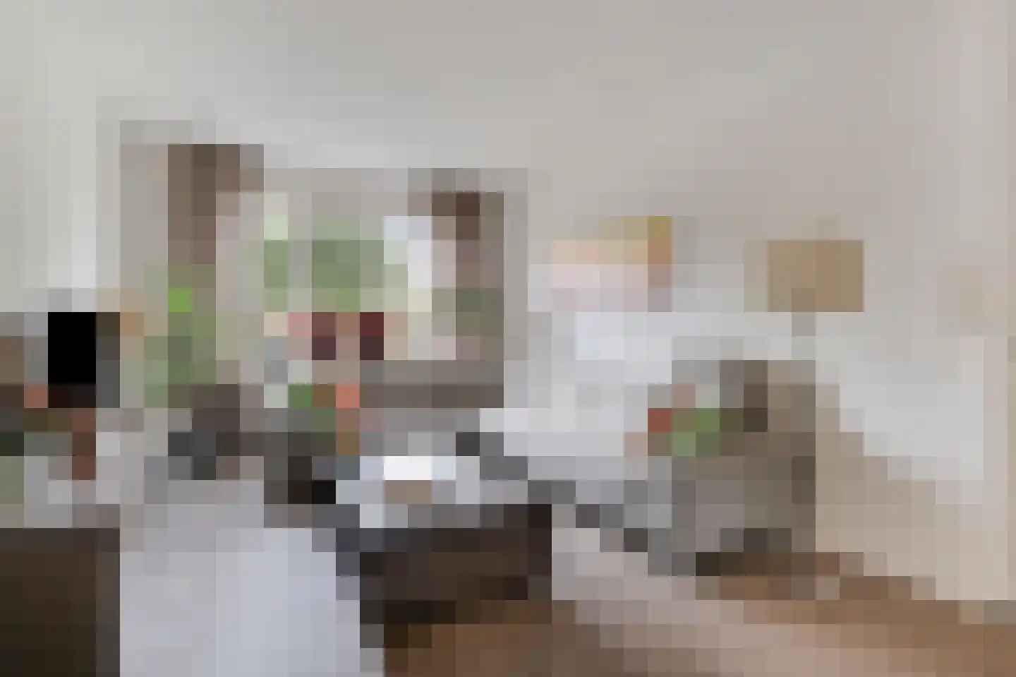 Norman Belvealstraat 22 Wehl thumbnail 12