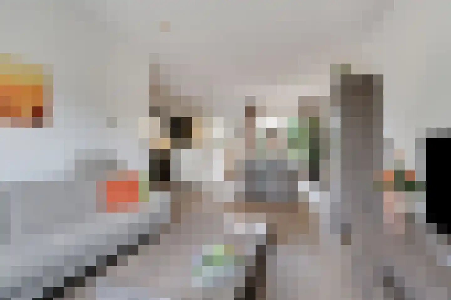 Norman Belvealstraat 22 Wehl thumbnail 13