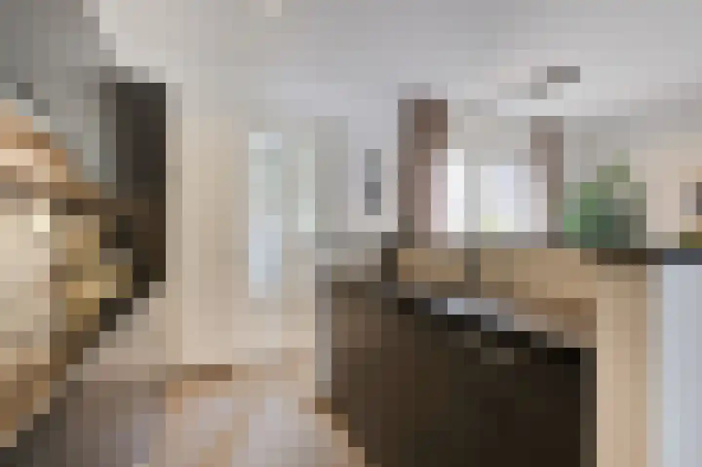 Norman Belvealstraat 22 Wehl thumbnail 17