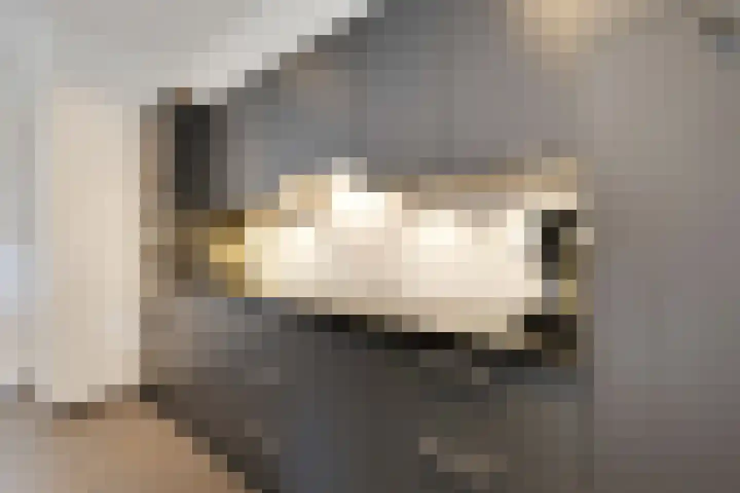 Norman Belvealstraat 22 Wehl thumbnail 18
