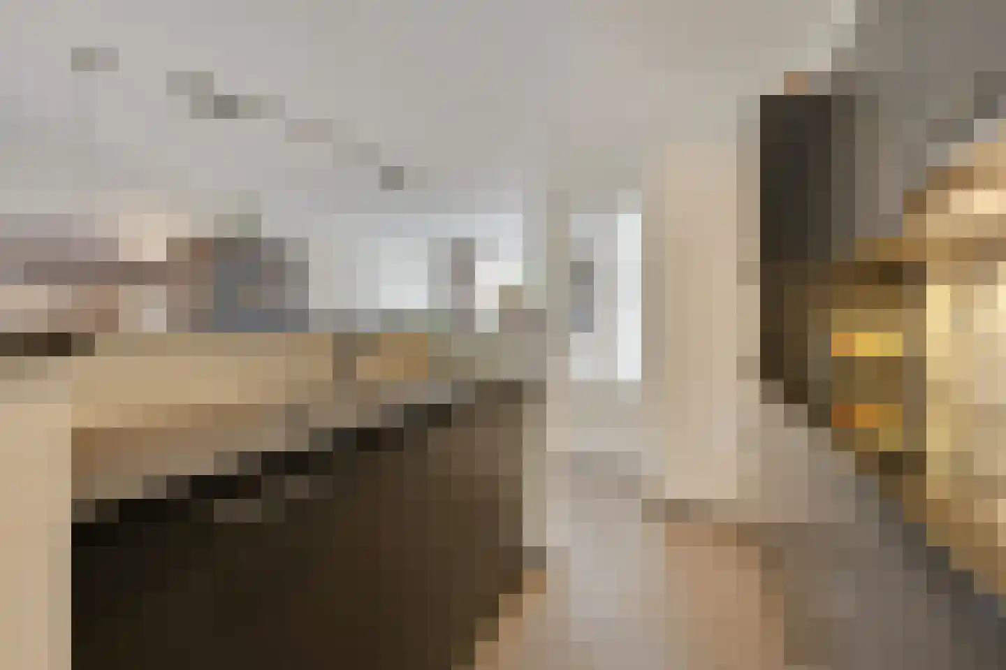 Norman Belvealstraat 22 Wehl thumbnail 19