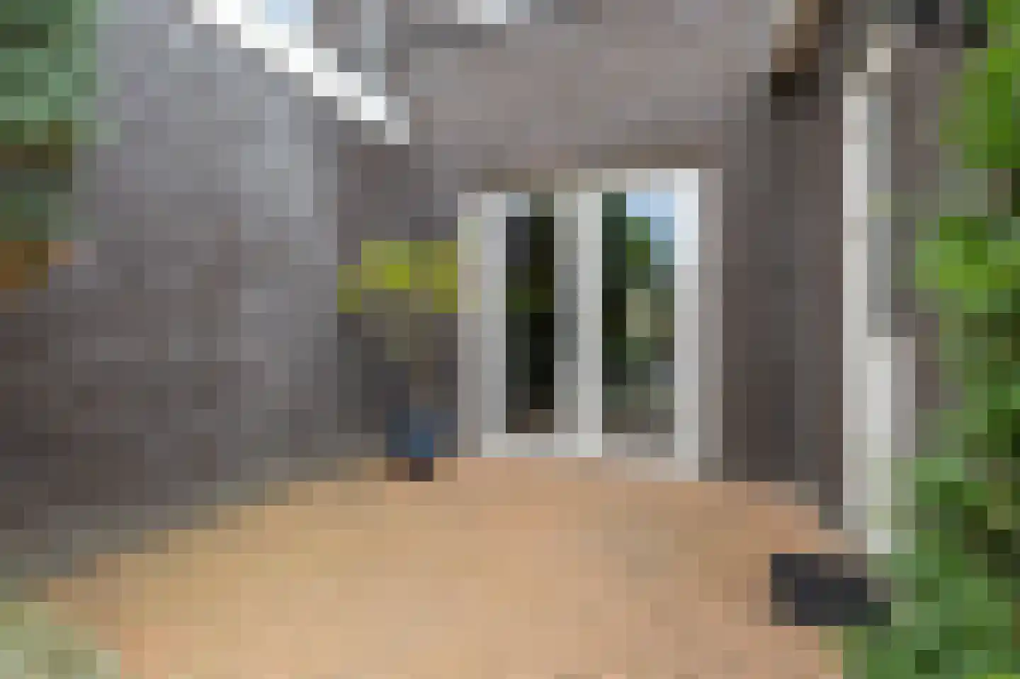 Norman Belvealstraat 22 Wehl thumbnail 26