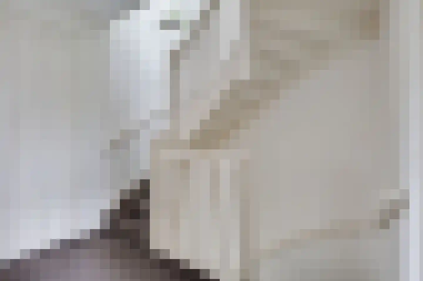 Norman Belvealstraat 22 Wehl thumbnail 27