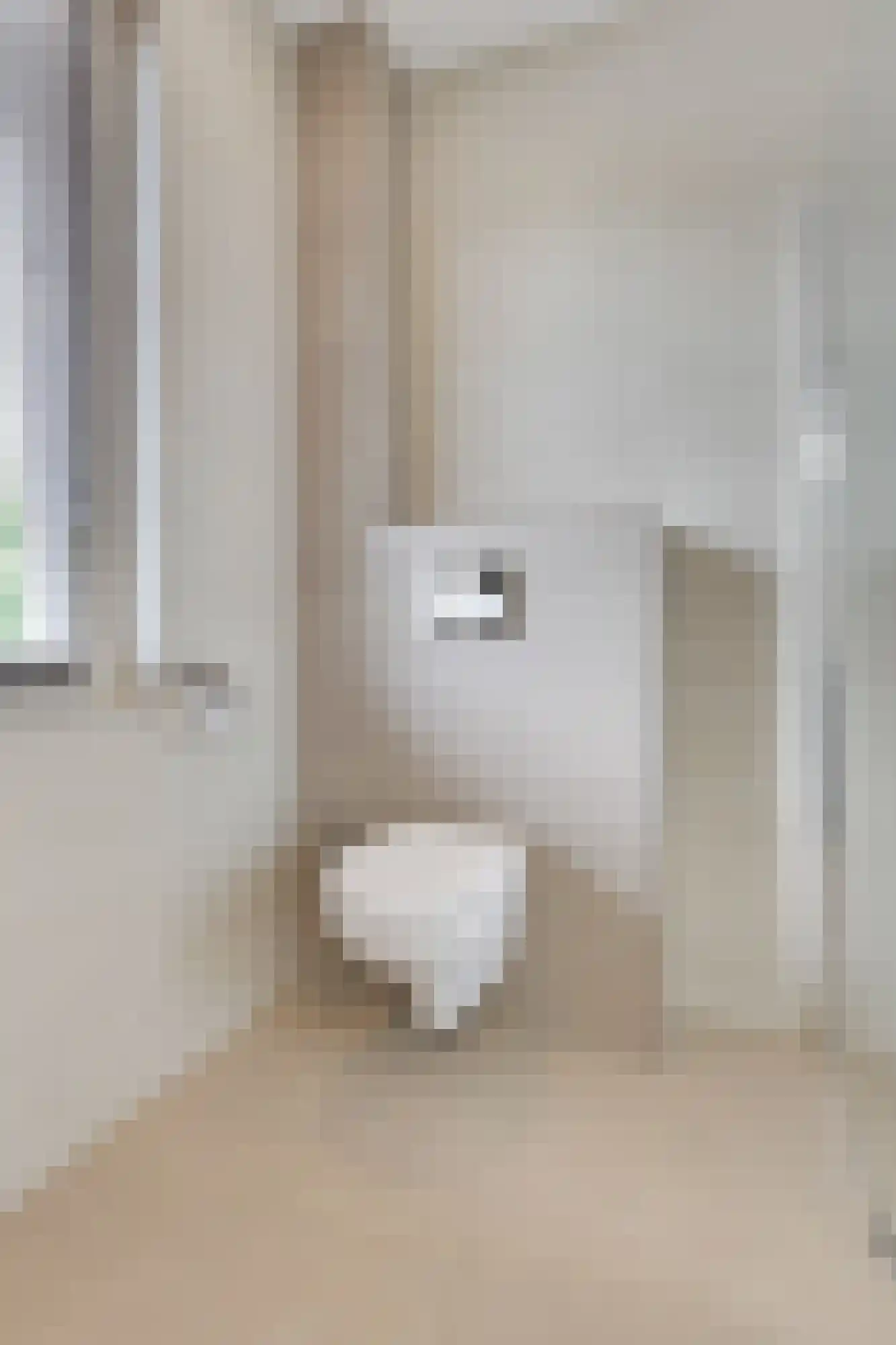 Norman Belvealstraat 22 Wehl thumbnail 34