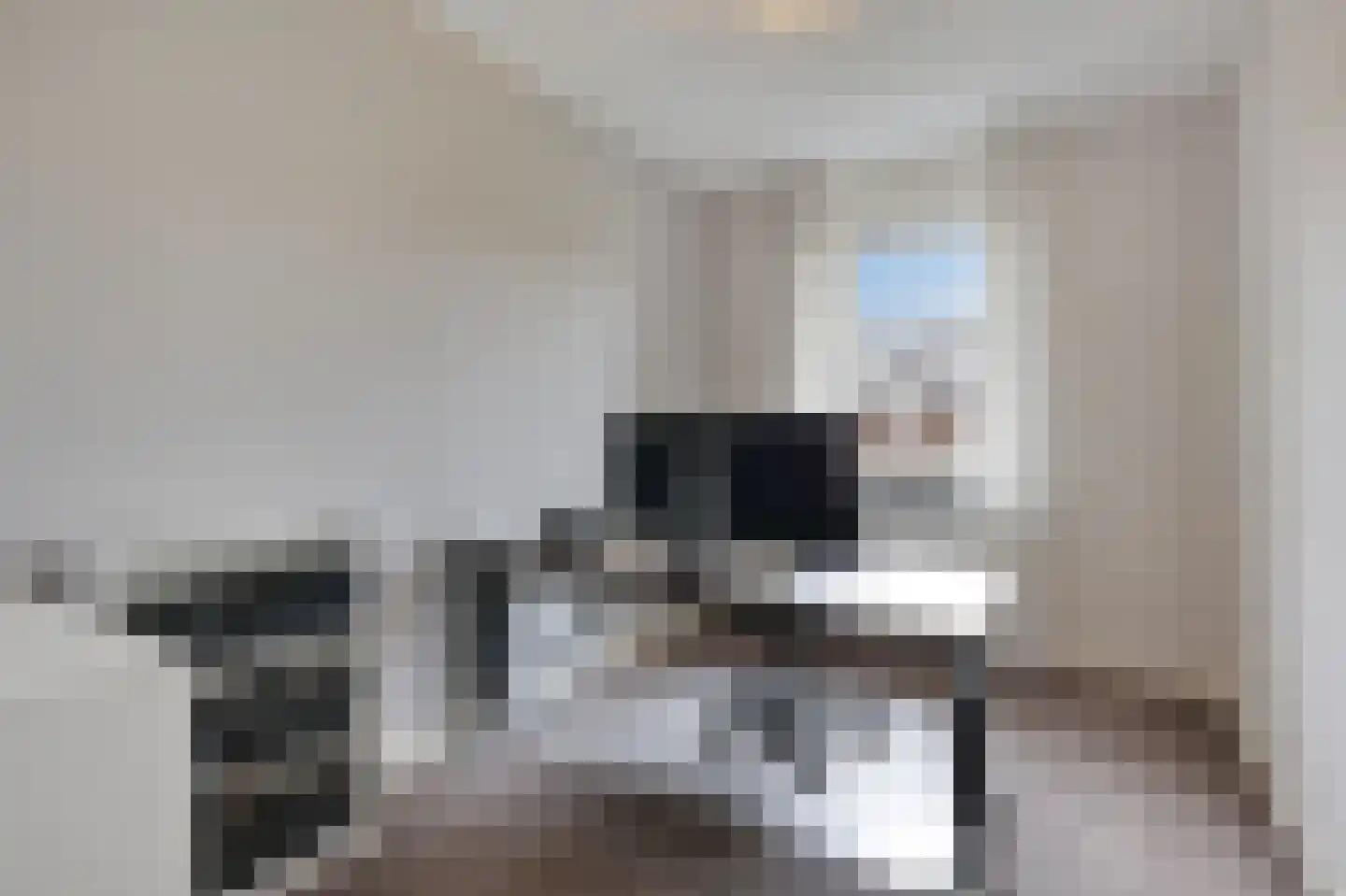 Norman Belvealstraat 22 Wehl thumbnail 35