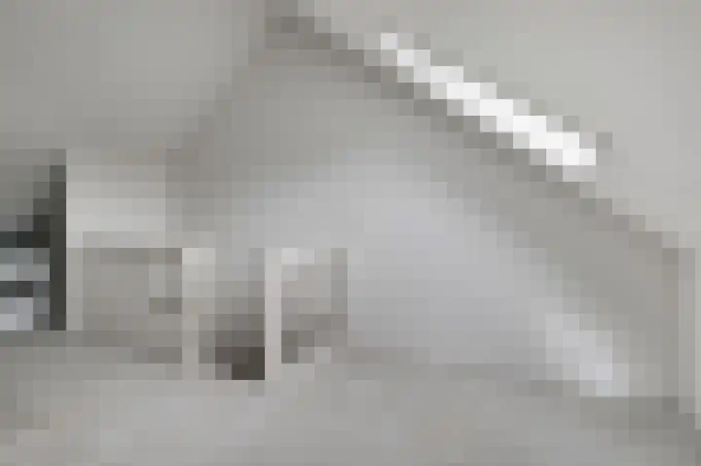 Norman Belvealstraat 22 Wehl thumbnail 41