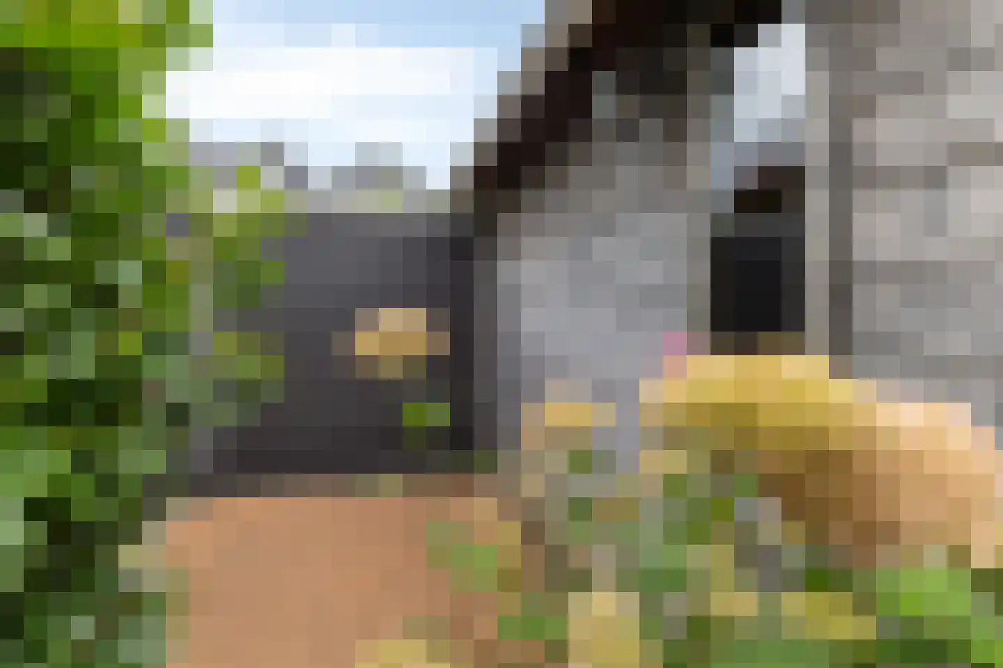 Norman Belvealstraat 22 Wehl thumbnail 43