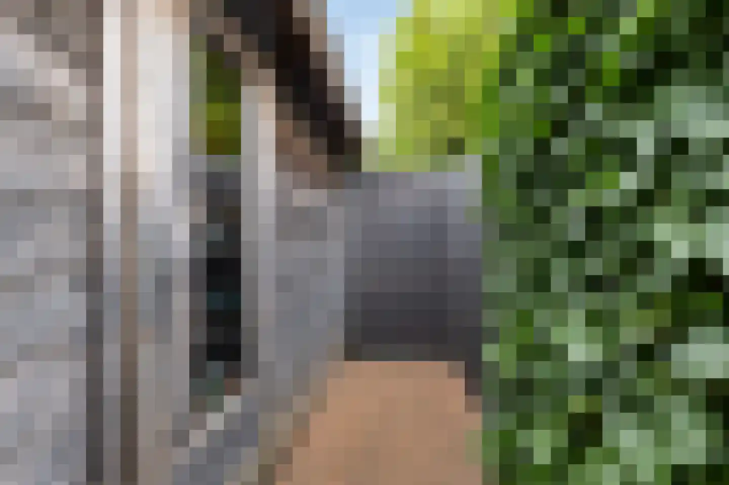 Norman Belvealstraat 22 Wehl thumbnail 44