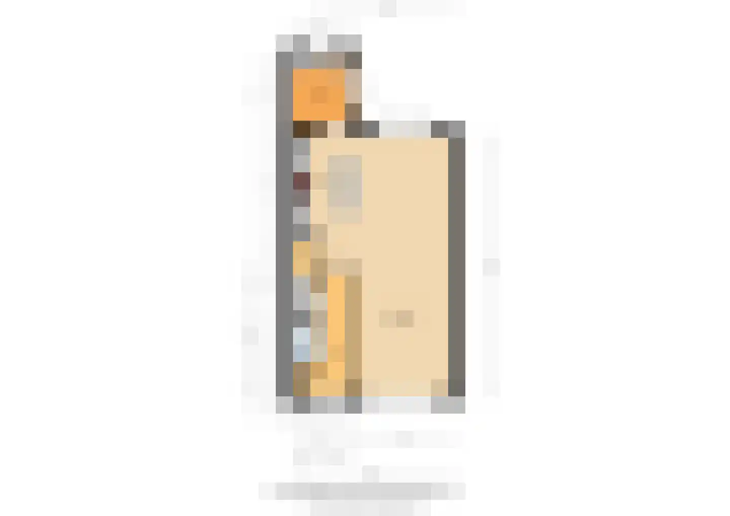 Norman Belvealstraat 22 Wehl thumbnail 52