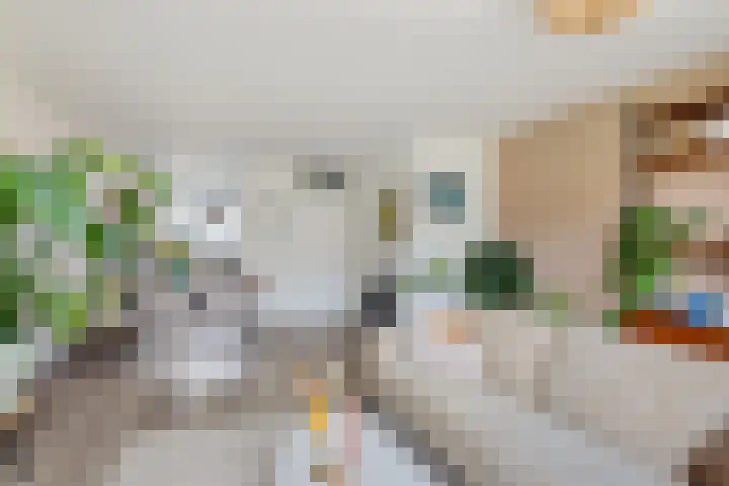Normandië 24 Utrecht thumbnail 11