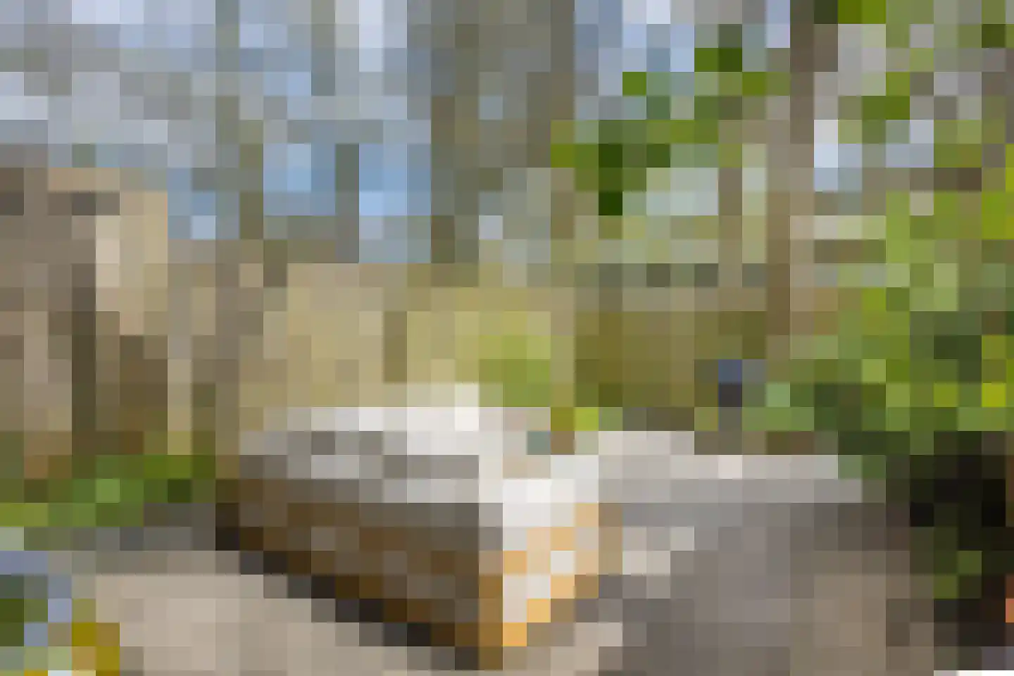 Normandië 24 Utrecht thumbnail 29
