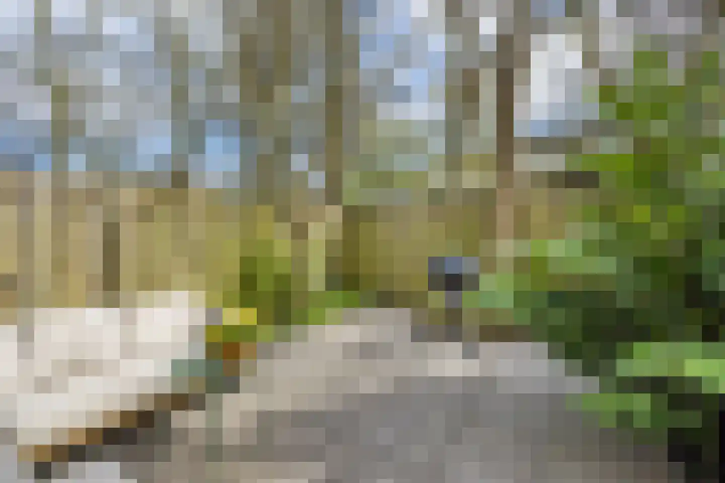 Normandië 24 Utrecht thumbnail 32