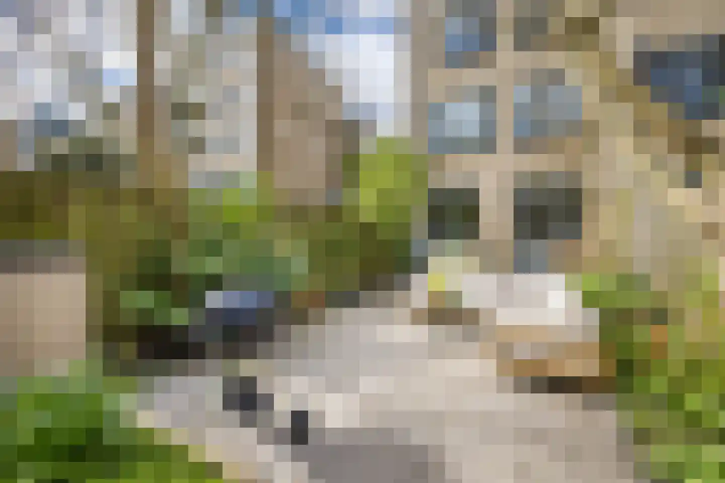 Normandië 24 Utrecht thumbnail 33