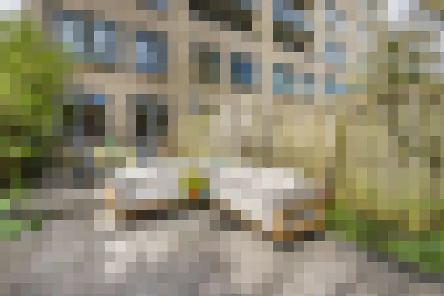 Normandië 24 Utrecht thumbnail 34