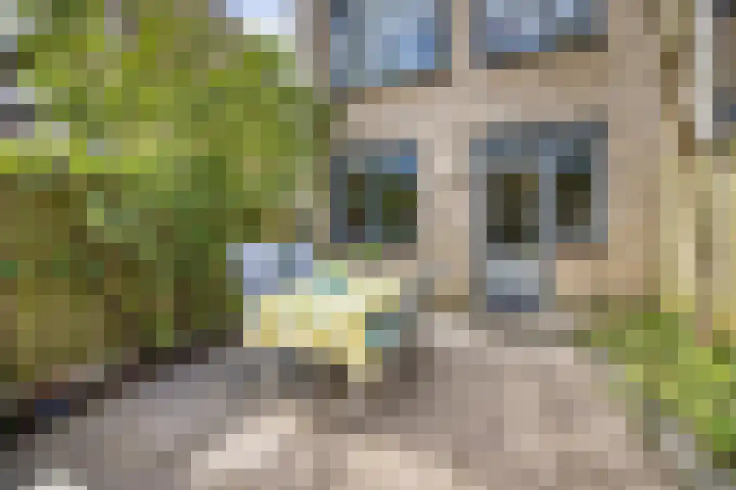Normandië 24 Utrecht thumbnail 35